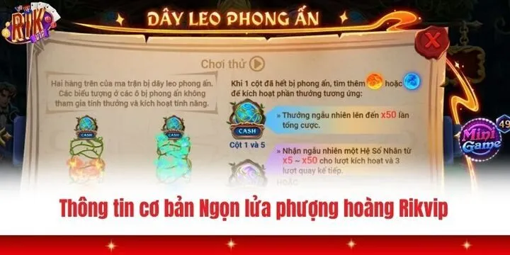Thông tin cần biết về Ngọn lửa phượng hoàng Rikvip